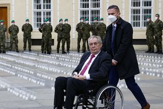 Nemocného prezidenta není potřeba ukazovat, řekl Ovčáček - Novinky